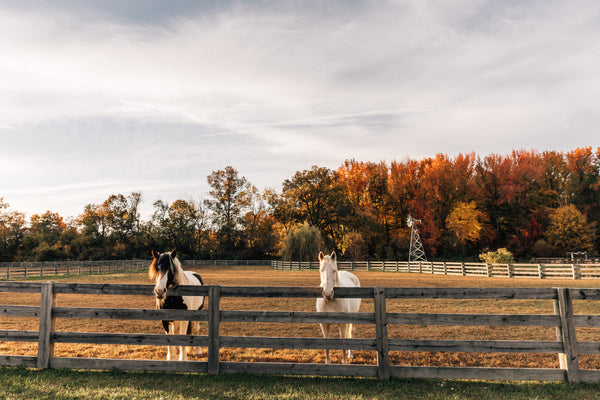 Monica Marino Farm-to-Fork on Wednesday, September 16, 2026