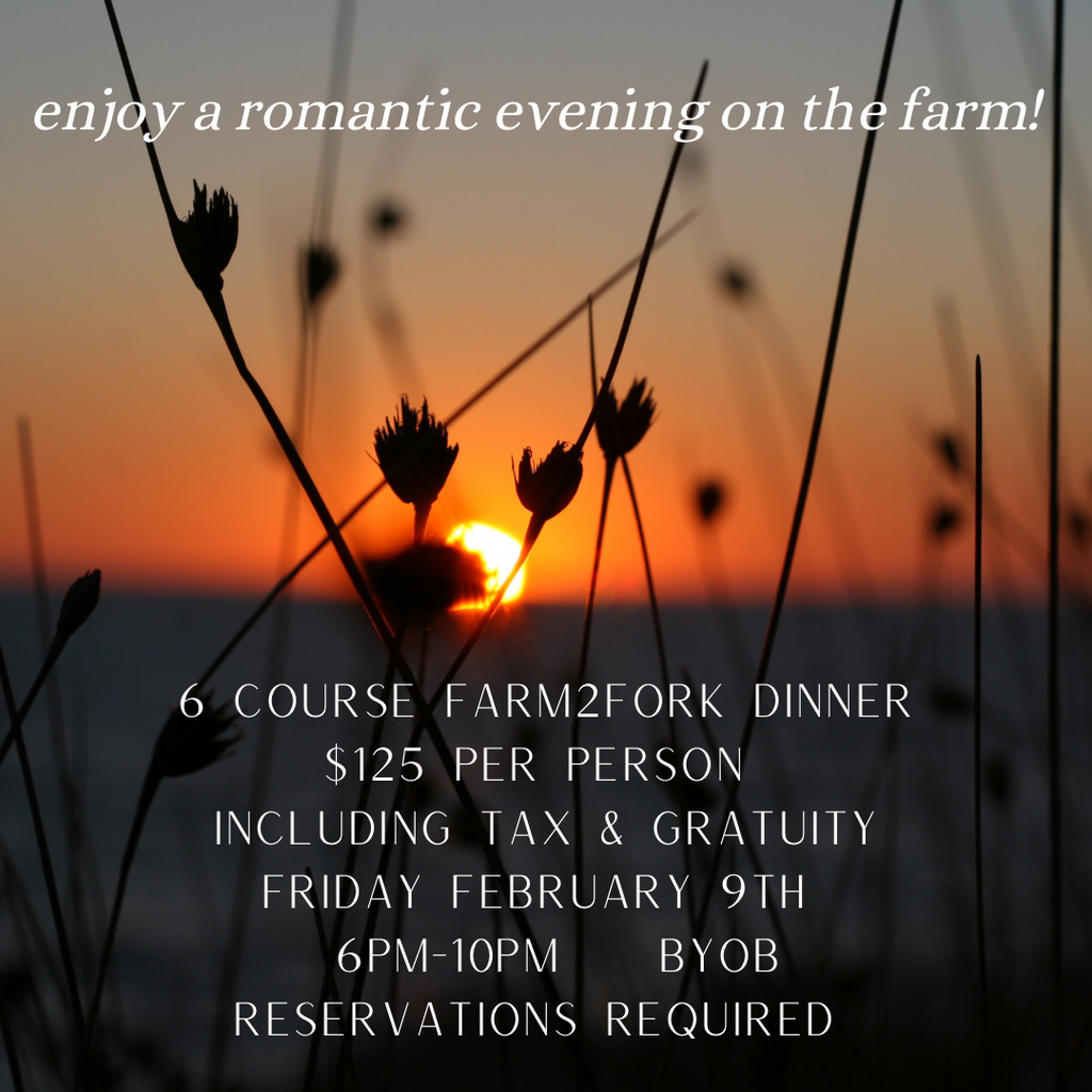 Sweetheart Soirée Farm to Fork Dinner, Friday February 9th, 6-10pm