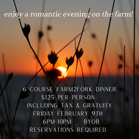 Sweetheart Soirée Farm to Fork Dinner, Friday February 9th, 6-10pm