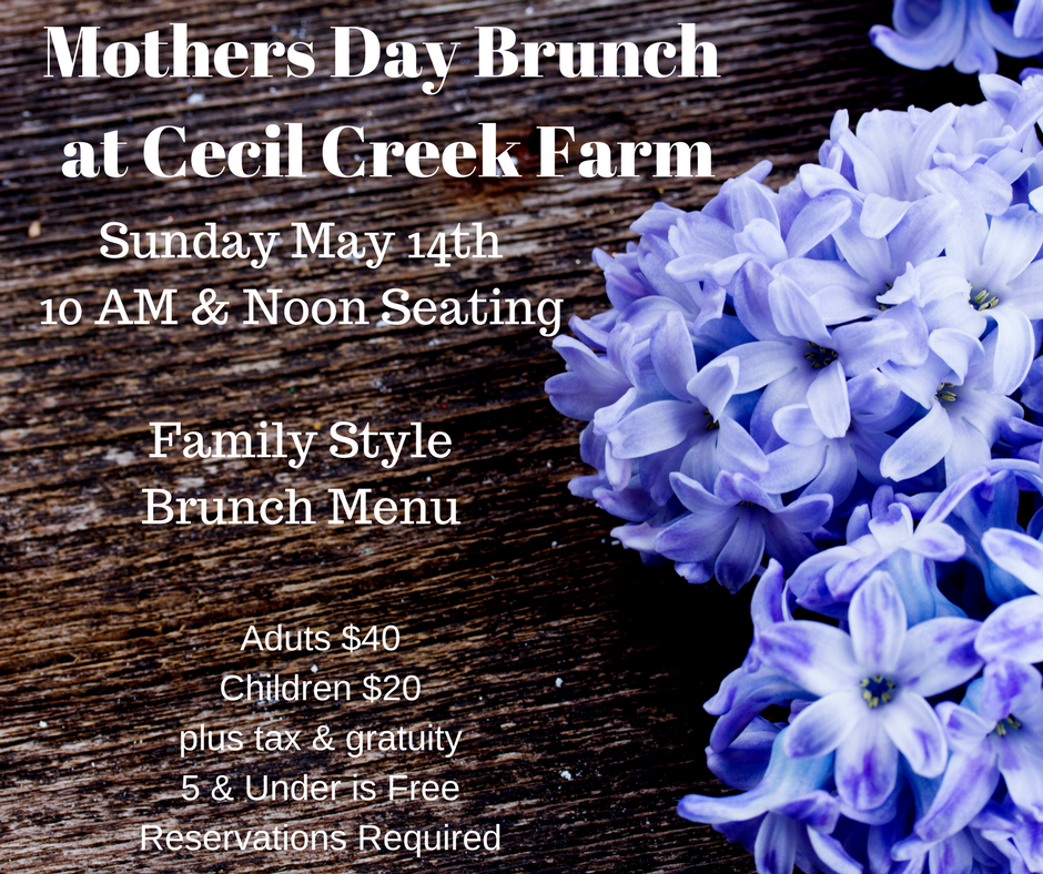 Mother's Day Brunch 2019